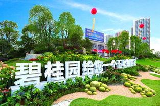 石家庄碧桂园爆料视频,揭秘项目真实情况与争议焦点
